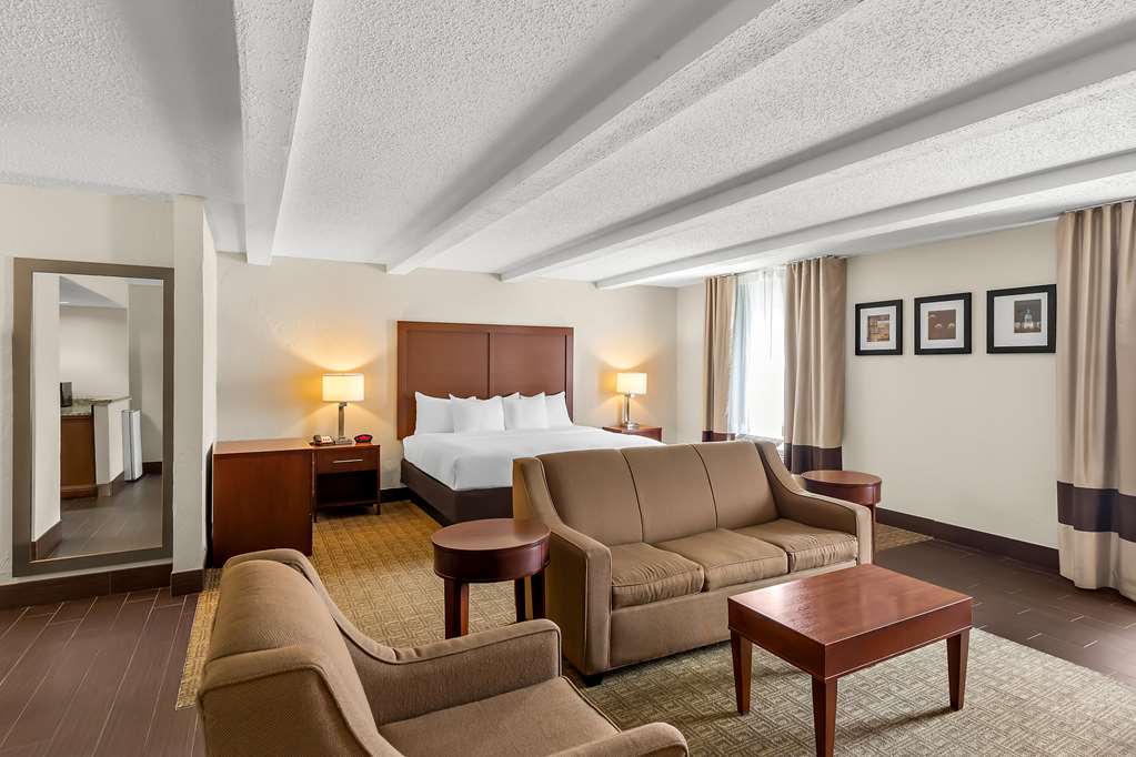 Comfort Inn St. Louis Westport Event Center - photo 22