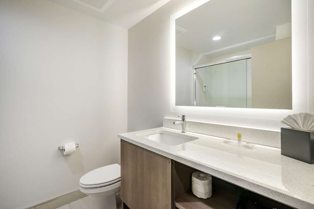 Comfort Inn & Suites New Port Richey Downtown District - photo 13
