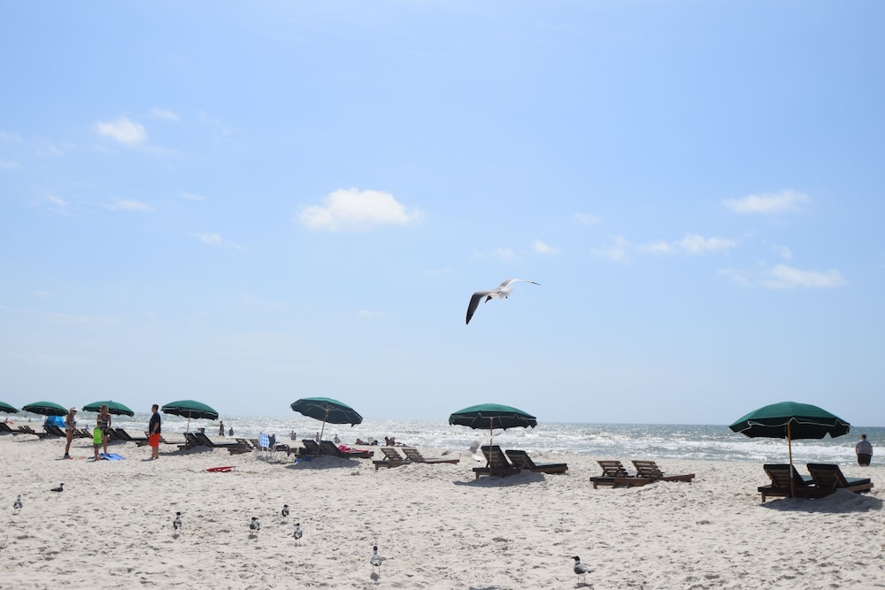 Beachview 309 - photo 12