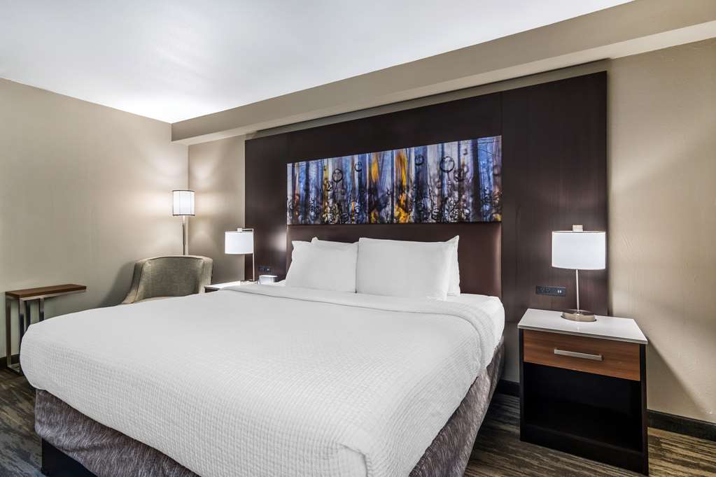 Best Western Atlanta Marietta Ballpark Hotel - photo 13