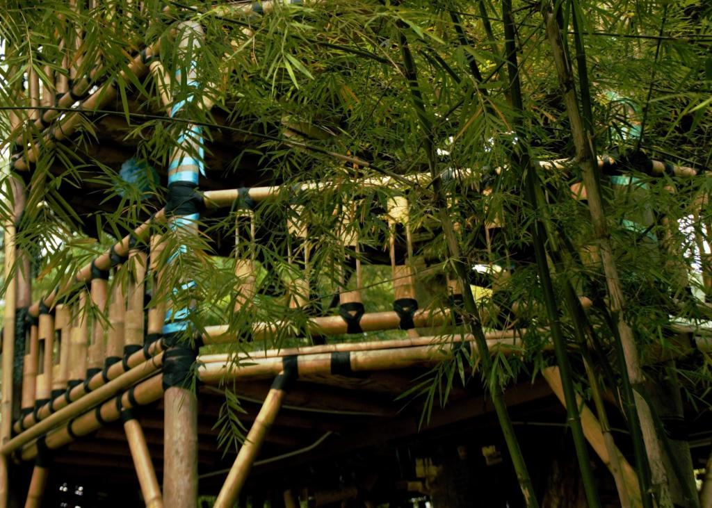 Tadom Hill Resorts — Banting — photo 4
