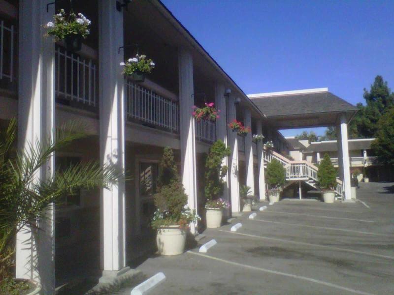 Caravelle Inn Suites - photo 13