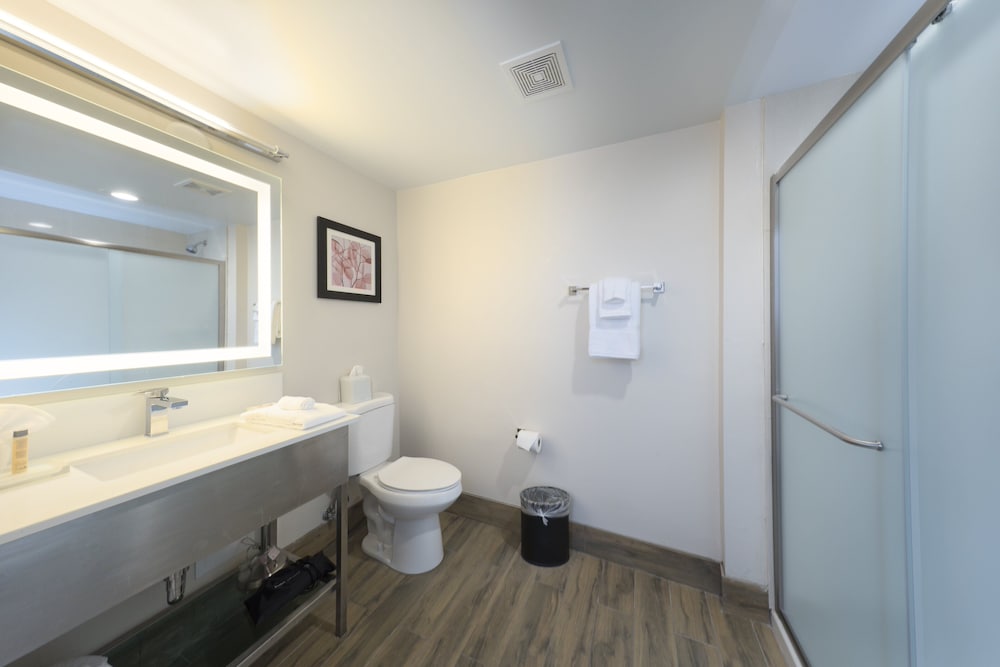 Holiday Inn Brookfield Milwaukee by IHG - photo 31