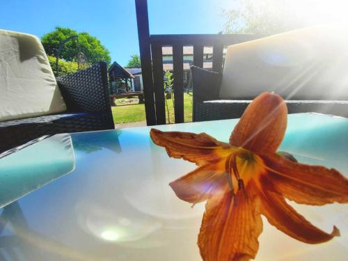 Pokoje Gościnne Ewa Nowicka in Frombork, Poland