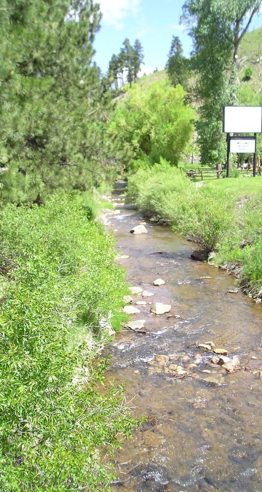 Black Hills Inn & Suites - photo 17