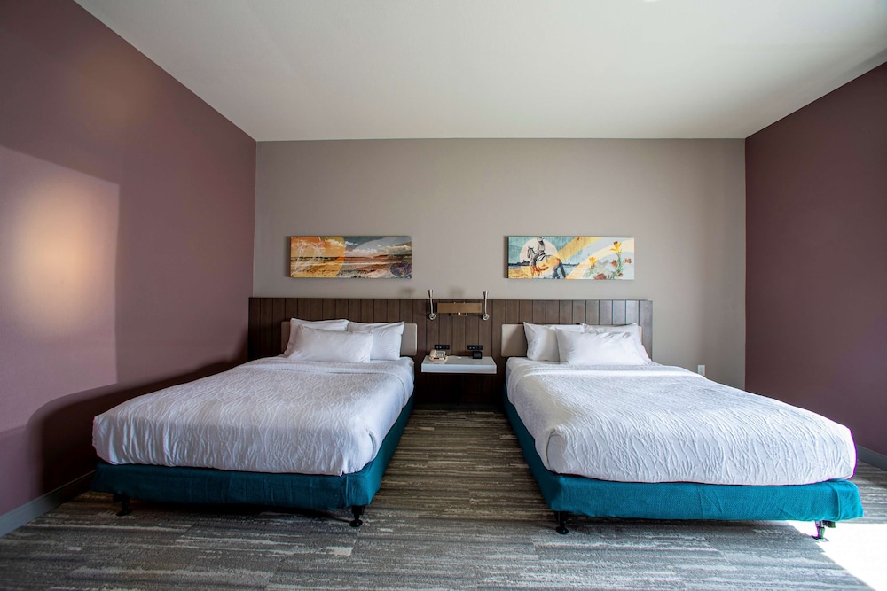 Hilton Garden Inn Rapid City - photo 6