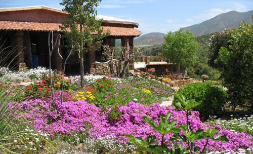Quinta Maria en la Ruta del Vino — 4-Star Luxury Hotel in Ensenada, Mexico