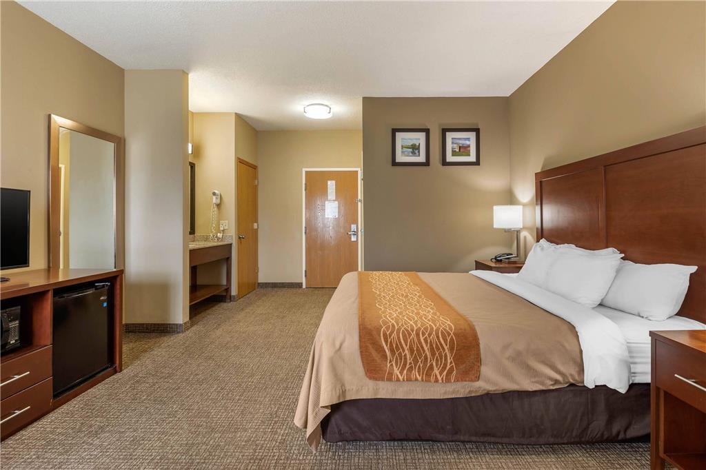 Comfort Inn Walcott near Davenport - photo 13