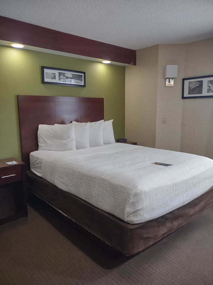 Baymont by Wyndham Flat Rock - photo 8