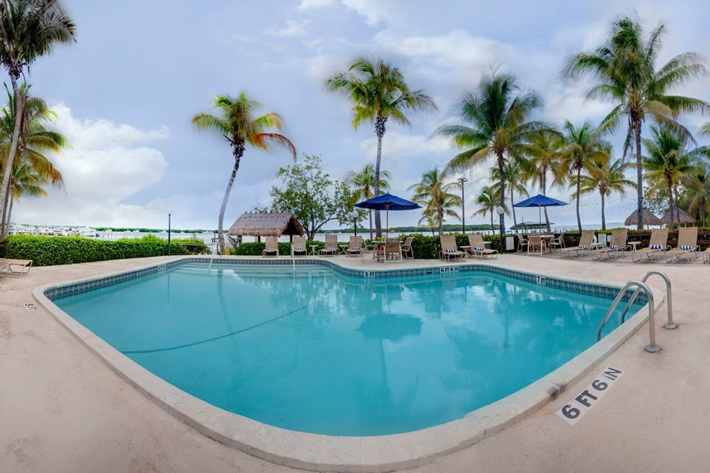 Coconut Palm Inn - photo 35
