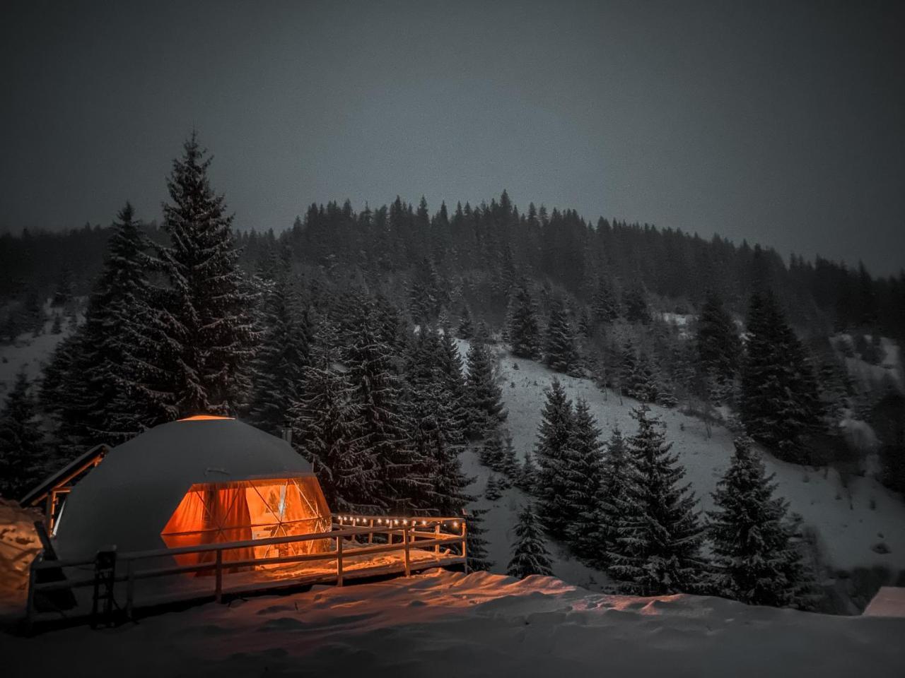 Cazare Dom Pensiuni Vatra Dornei Bucovina cu Ciubar pet-friendly hotel Iacobeni