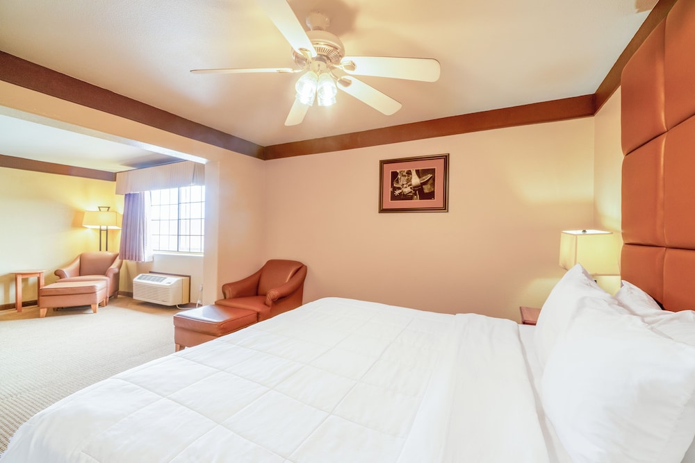 Texan Inn By Oyo Beeville Us 181 - photo 44