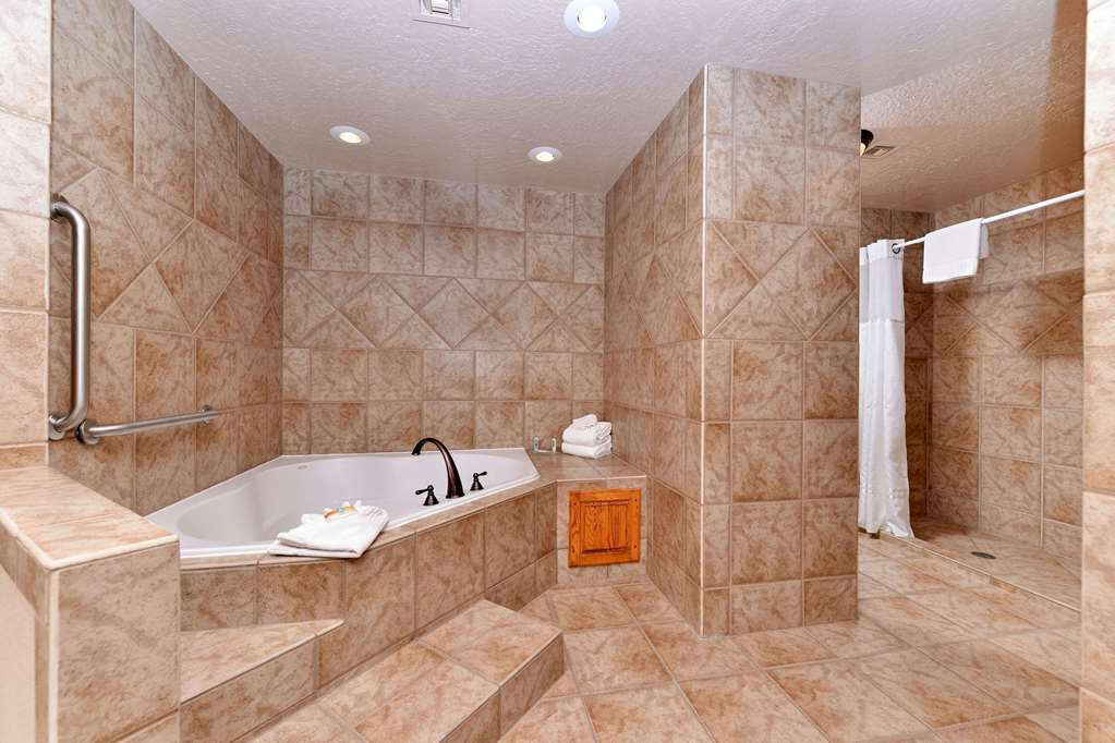 Quality Inn Vernal near Dinosaur National Monument - photo 17