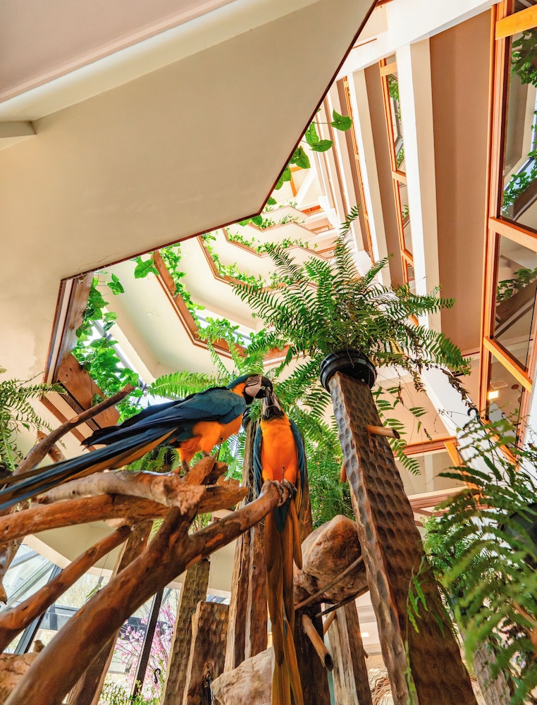 Hotel Vila Germanica — Chapeco — photo 4