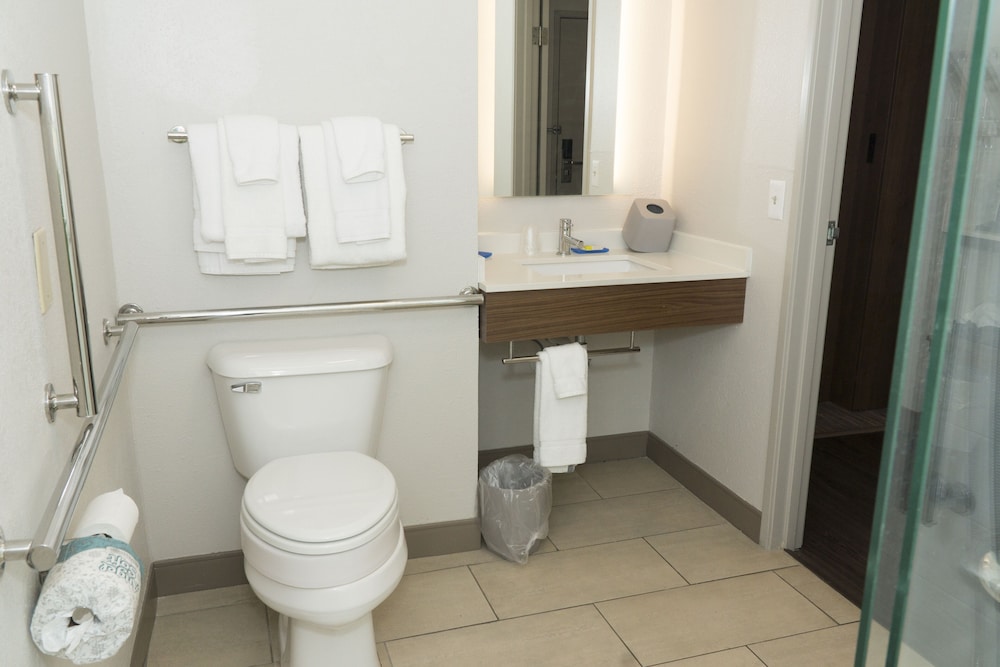 Holiday Inn Express Hotel & Suites Madison by IHG - photo 47