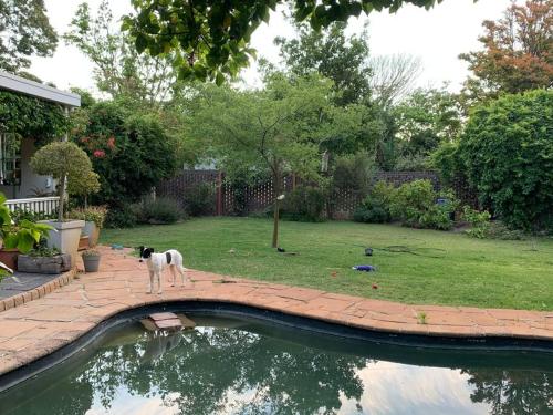 Cape Town family home with lovely garden.