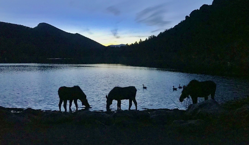 Mountain Shadows Resort - photo 18