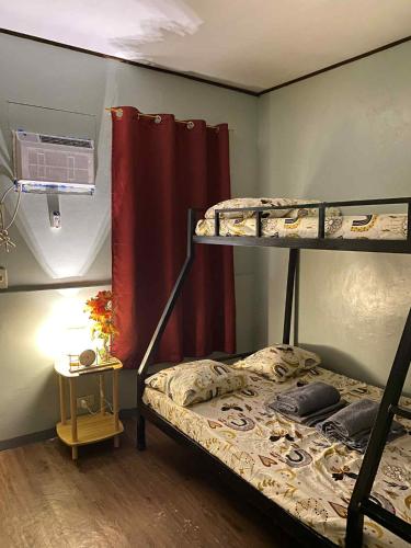 Frogman inn - last minute hotel in Puerto Princesa