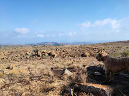 Woolly Bugger Farm in Nelspruit, South Africa