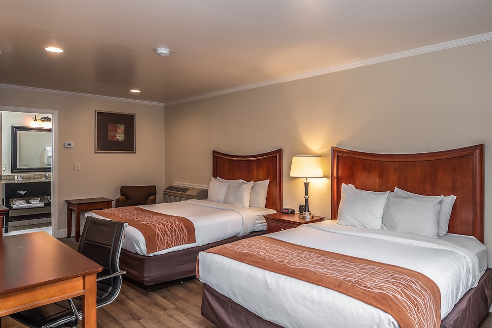 Blu Pacific Hotel - photo 18