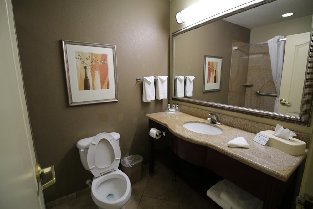Seffner Inn and Suites - photo 44