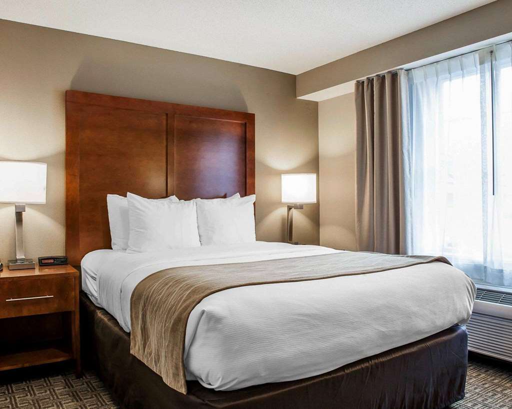 Comfort Inn & Suites Sturbridge Brimfield - photo 19