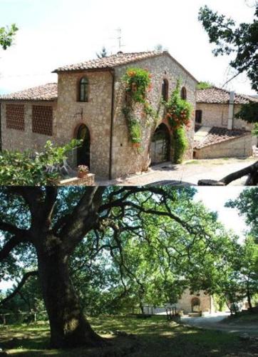 Fattoria di Mugnano in Colle Di Val D'elsa, Italy