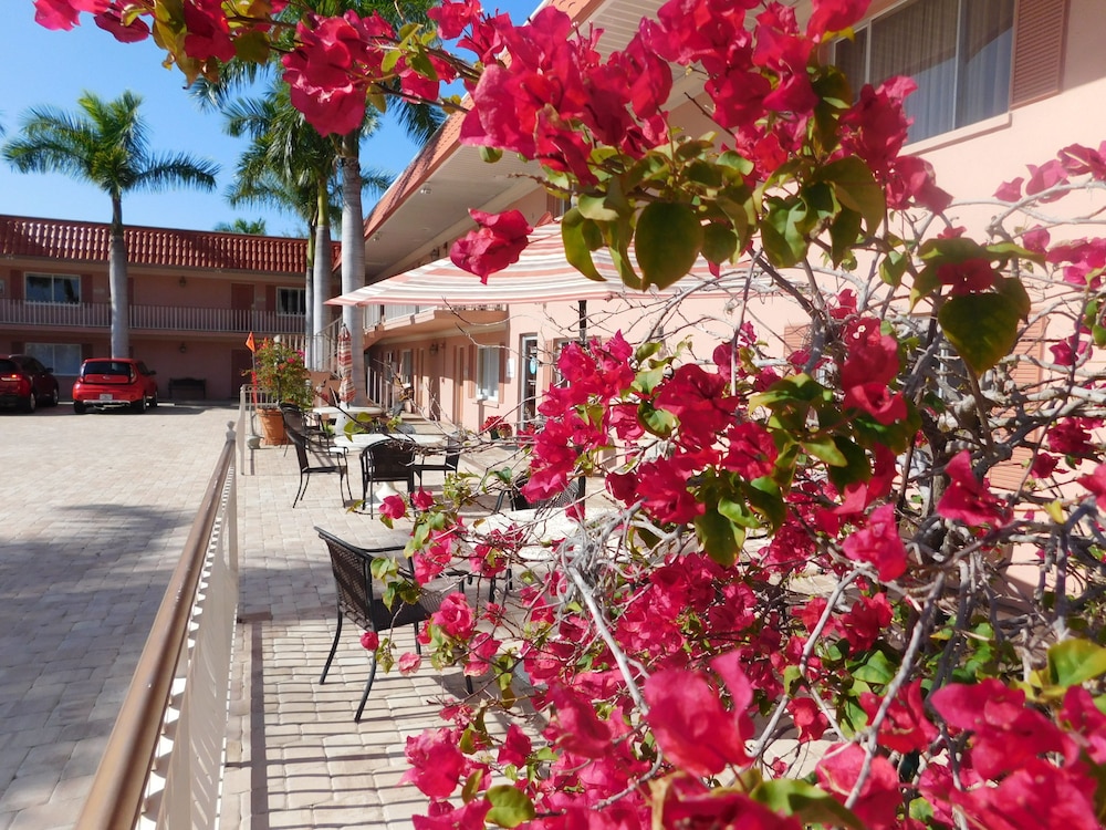 Hibiscus Suites Gateway to Siesta Key - photo 30