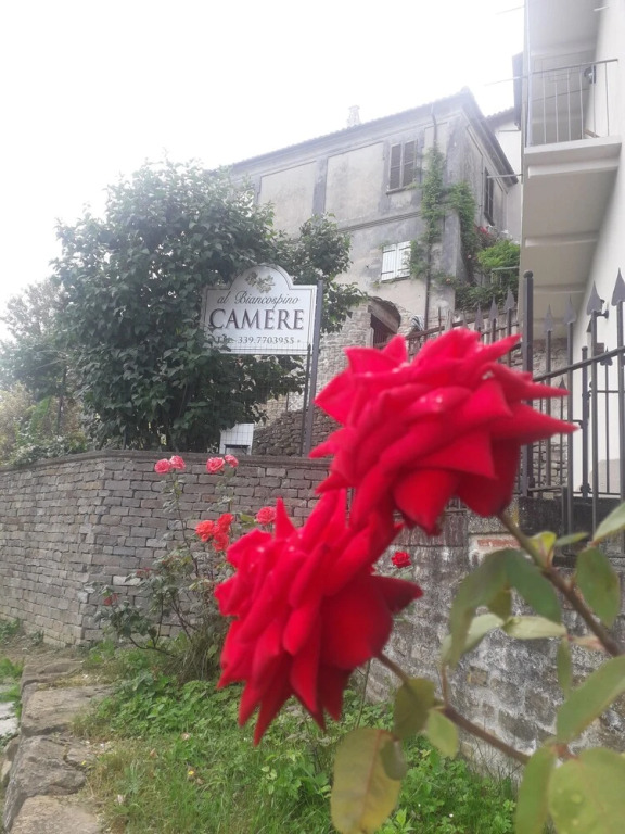 Al biancospino Camere Ristorante in Bossolasco, Italy