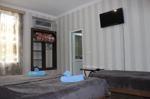 Guest house Maspindzeli