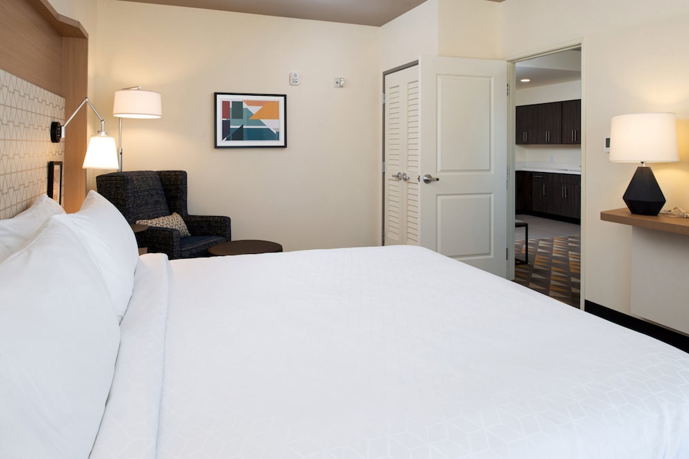 Holiday Inn & Suites Idaho Falls by IHG - photo 4