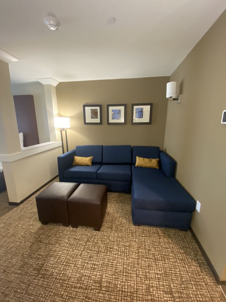Comfort Suites Midland West - photo 9
