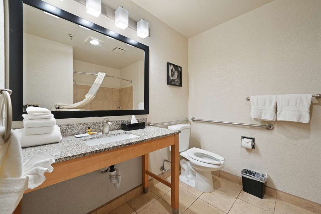 Best Western Plus Executive Inn & Suites - photo 45