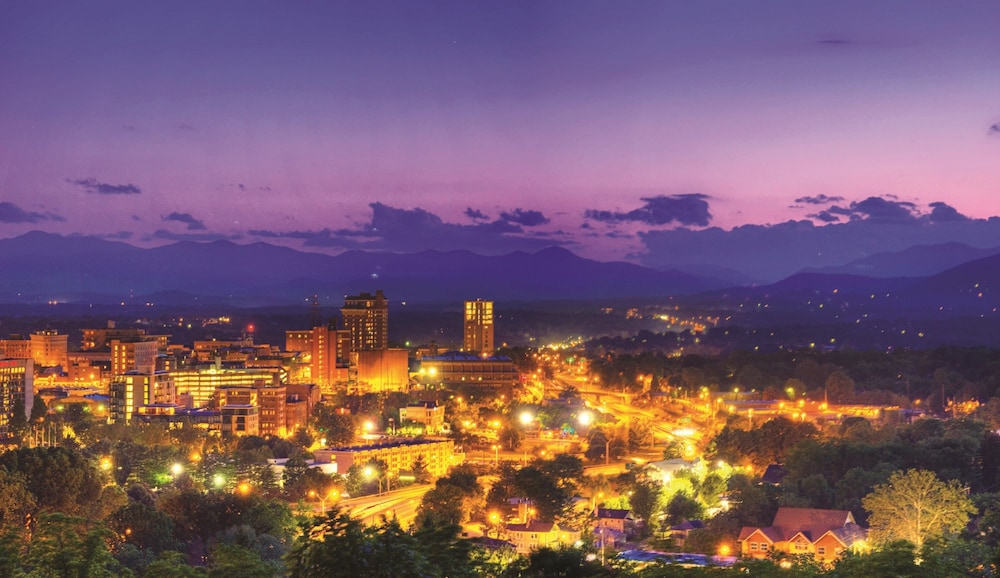 Hotel Indigo Asheville Downtown by IHG - photo 93