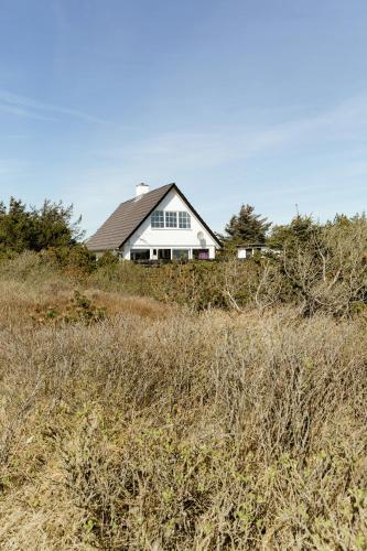 Atmosphere Close To Water Surrounded By Pines in Hvide Sande, Denmark