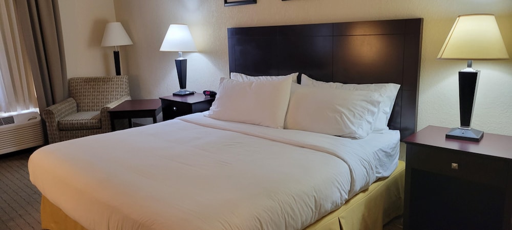 The Arc Hotel - photo 6