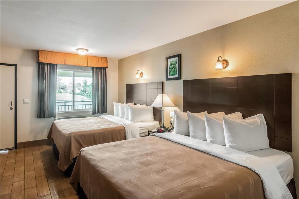 Quality Inn & Suites near Downtown Bakersfield - photo 13