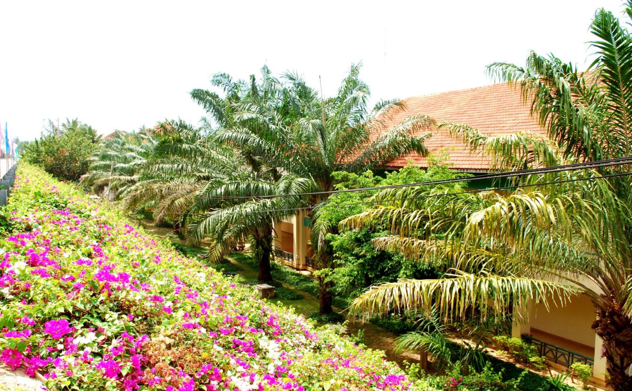 Hon Rom 2 Resort - last minute hotel in Phan Thiet