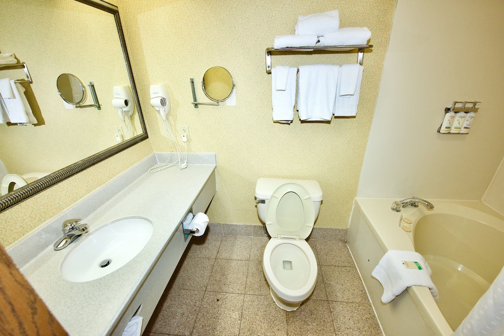 Holiday Inn Express & Suites St. Louis West Fenton by IHG - photo 24