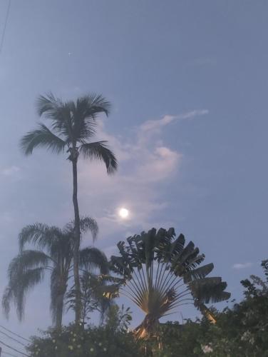 Cachanga - last minute hotel in Angra Dos Reis