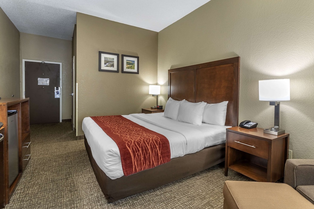 Comfort Inn Kingsport Southeast - photo 6