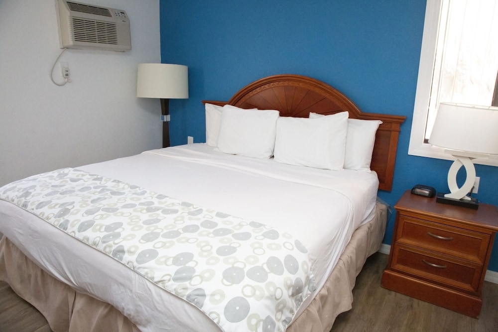 Dream Inn - photo 37