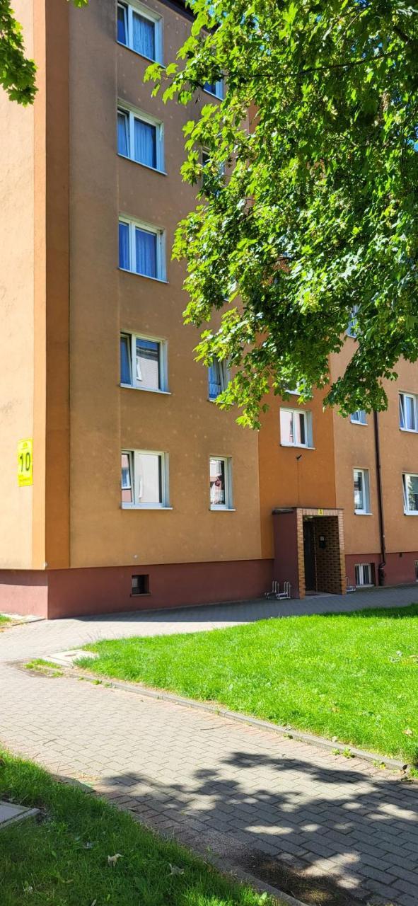 Apartament Klara — Puck — photo 5