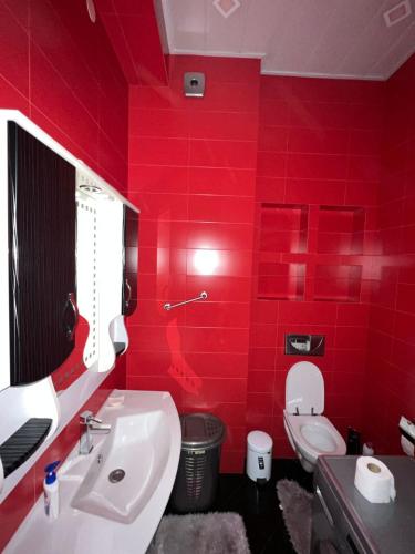Apartment in the center of the city Vera