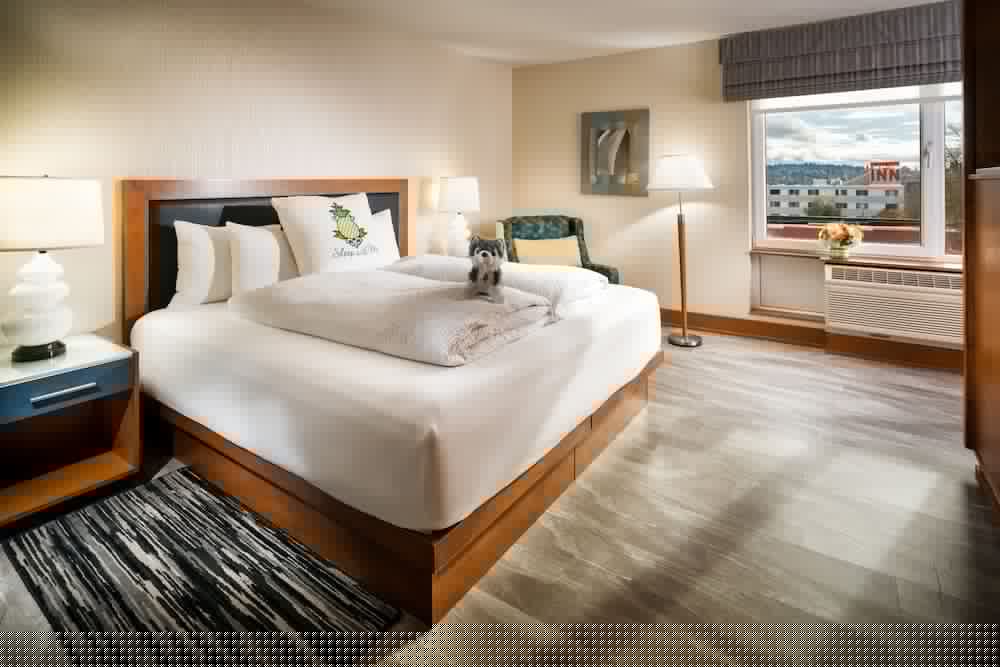 Staypineapple Watertown Hotel University District Seattle - photo 8