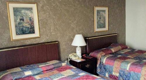 Red Carpet Inn & Suites Albany - photo 15