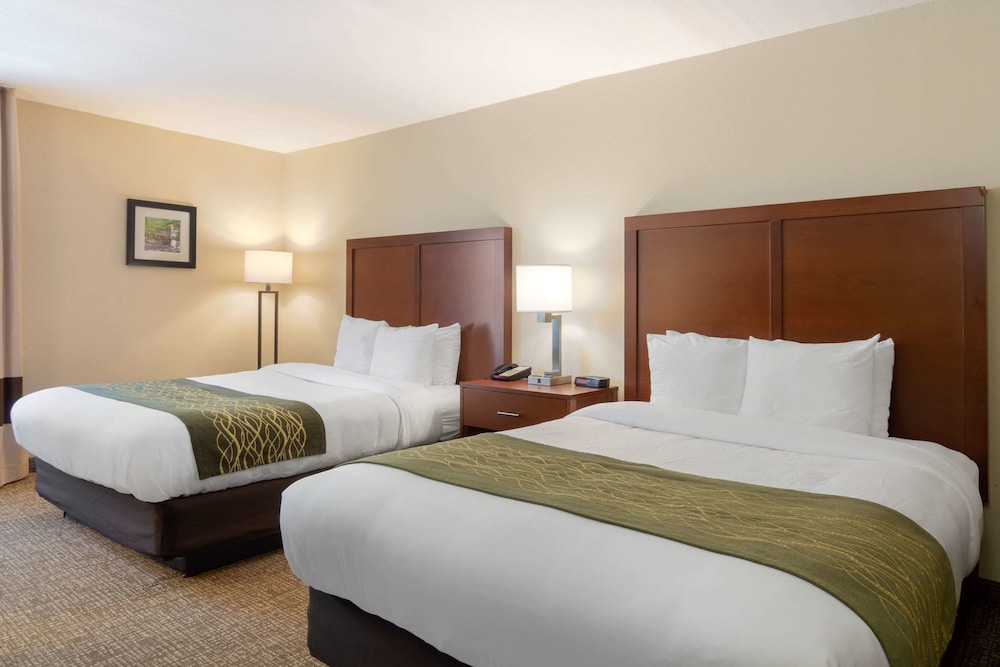 Comfort Inn Douglasville Atlanta West - photo 7