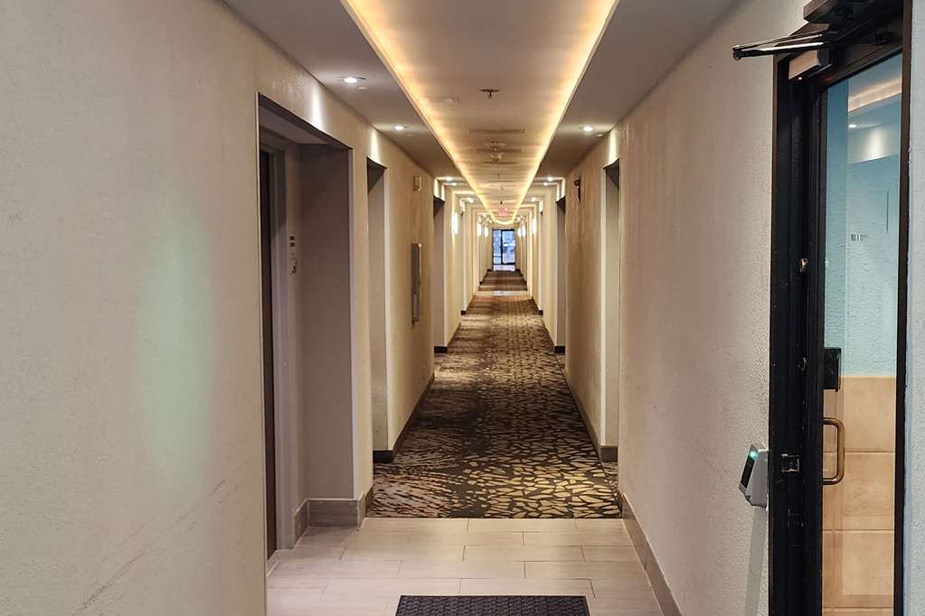 Mainstay Suites Springfield Il - photo 33