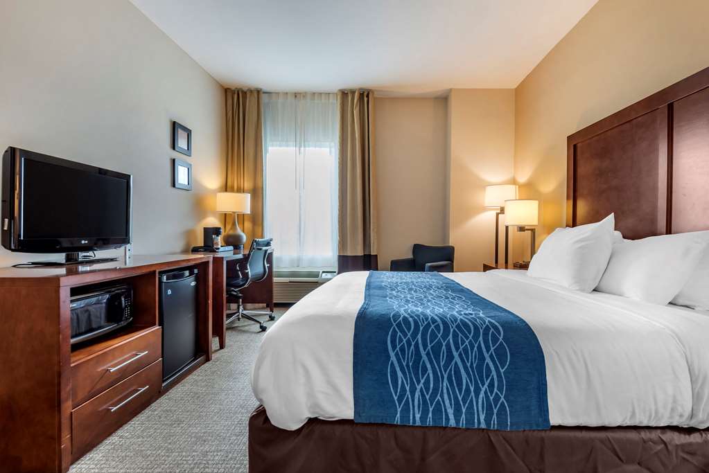 Comfort Inn Apalachin Binghamton W Route 17 - photo 4