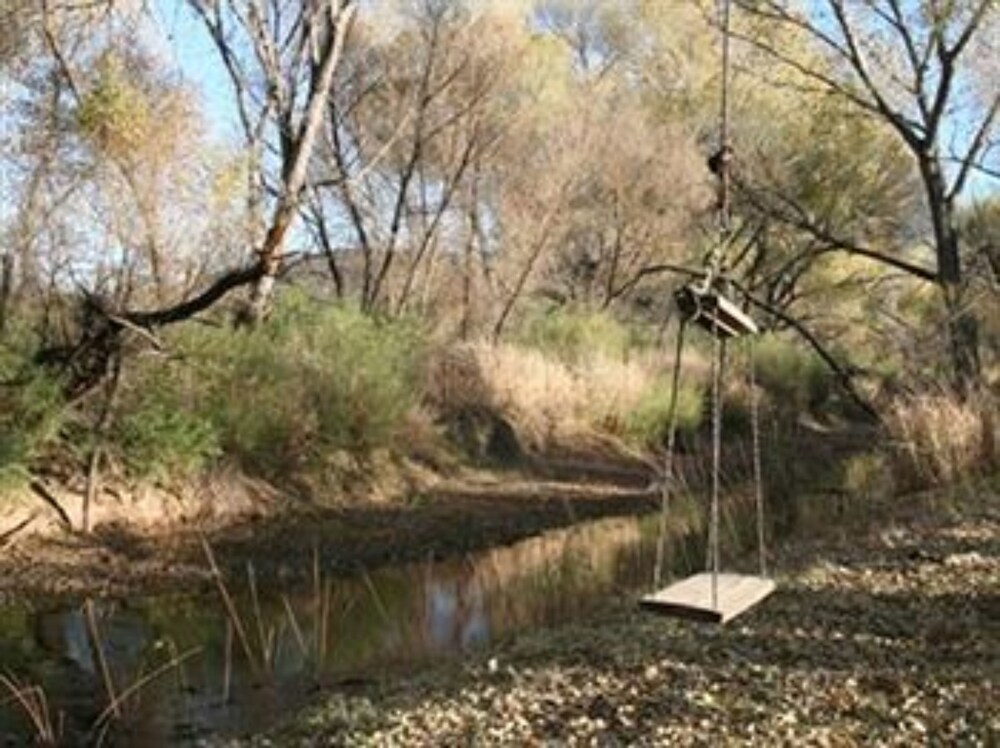 Lazy Dog Ranch - photo 29